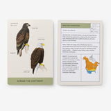 NEW! Sibley Backyard Birding Flashcards, Revised and Updated: 100 Common Birds of Eastern and Western North America