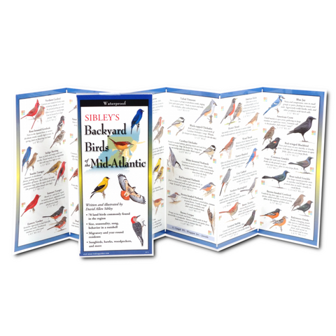 Sibley's Backyard Birds of Mid-Atlantic (Folding Guides)