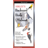 Sibley's Backyard Birds of the Midwest (Folding Guides)