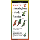 Sibley's Hummingbirds of North America (Folding Guides)