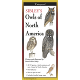 Sibley's Owls of North America Folding Guide