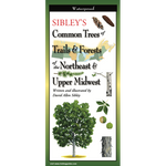 Sibley's Trees of Trails and Forests of the NE & Upper Midwest (Folding Guides)