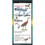 Sibley's Waterbirds of the Great Lakes (Folding Guides)