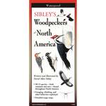 Sibley's Woodpeckers of North America (Folding Guides)