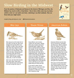 Slow Birding: The Art and Science of Enjoying the Birds in Your Own Backyard