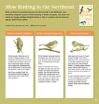 Slow Birding: The Art and Science of Enjoying the Birds in Your Own Backyard