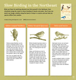 Slow Birding: The Art and Science of Enjoying the Birds in Your Own Backyard