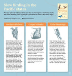 Slow Birding: The Art and Science of Enjoying the Birds in Your Own Backyard