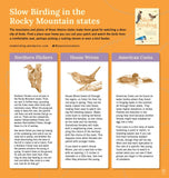 Slow Birding: The Art and Science of Enjoying the Birds in Your Own Backyard