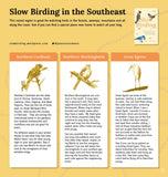 Slow Birding: The Art and Science of Enjoying the Birds in Your Own Backyard