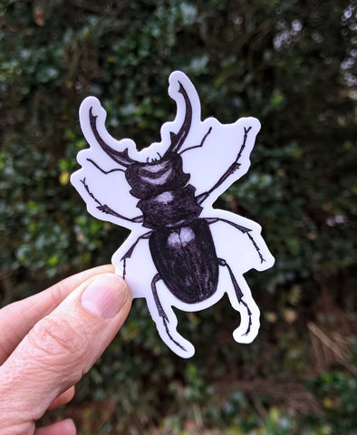Stag Beetle Waterproof Sticker
