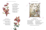 The Complete Book of the Flower Fairies (Revised) by Cicely Mary Barker