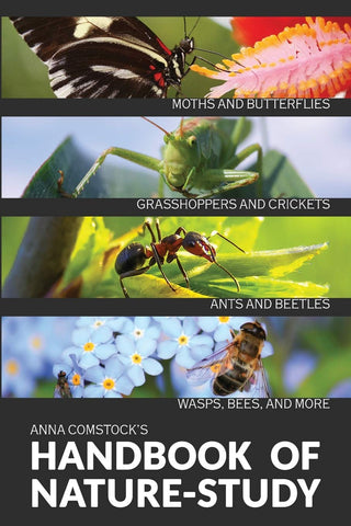 The Handbook Of Nature Study in Color - Insects by Anna B. Comstock