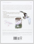 The Laws Guide to Drawing Birds by John Muir Laws