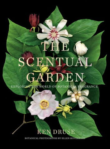The Scentual Garden: Exploring the World of Botanical Fragrance
