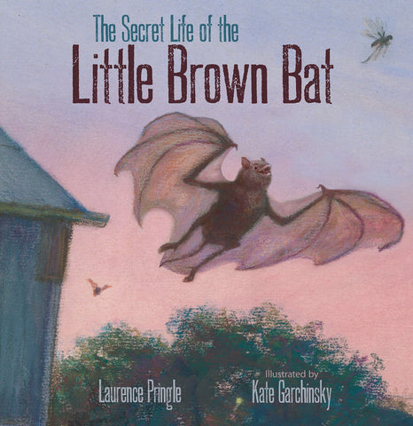 The Secret Life of the Little Brown Bat by Laurence Pringle