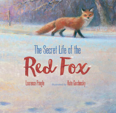 The Secret Life of the Red Fox by Laurence Pringle