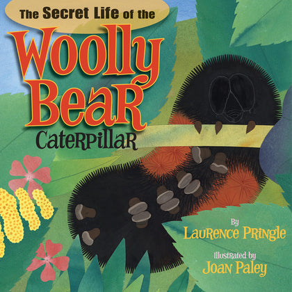The Secret Life of the Woolly Bear Caterpillar by Laurence Pringle