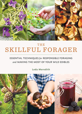 The Skillful Forager by Leda Meredith