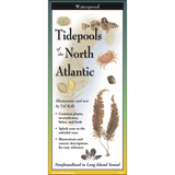 Tidepools of the North Atlantic (Folding Guides)
