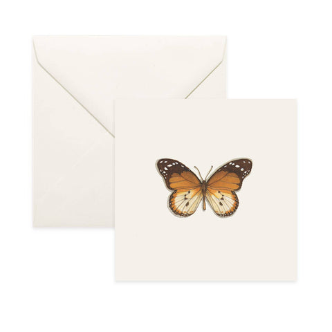 Butterflies: Tiger Butterfly Card