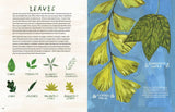 Trees: An Illustrated Celebration by Kelsey Oseid