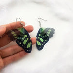 Tropical Butterfly Wings Earrings