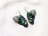Tropical Butterfly Wings Earrings