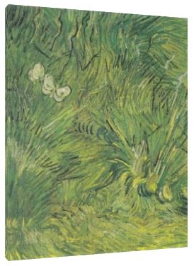 Two White Butterflies, 1889, Van Gogh Canvas Art Print