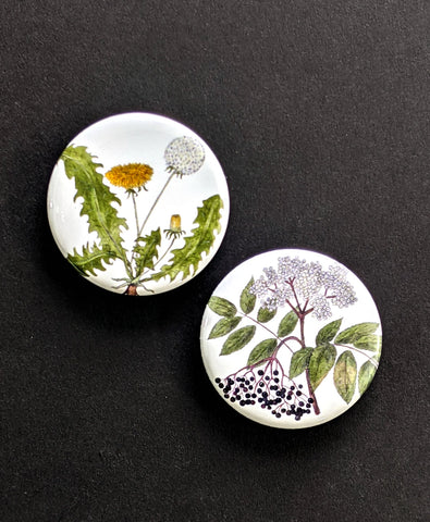 Useful Plants Pinback Buttons - 1.25" inch Pin Back Nature Badge