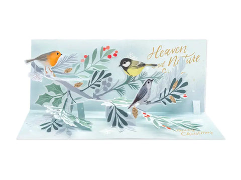 Winter Birds Pop-Up Card