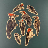 Woodpecker Sticker Set