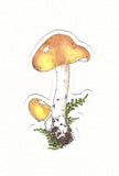 Yellow Mushroom Waterproof Sticker
