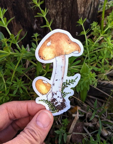 Yellow Mushroom Waterproof Sticker