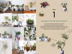 A Beginner's Guide to House Plants: Creating Beautiful and Healthy Green Spaces in Your Home