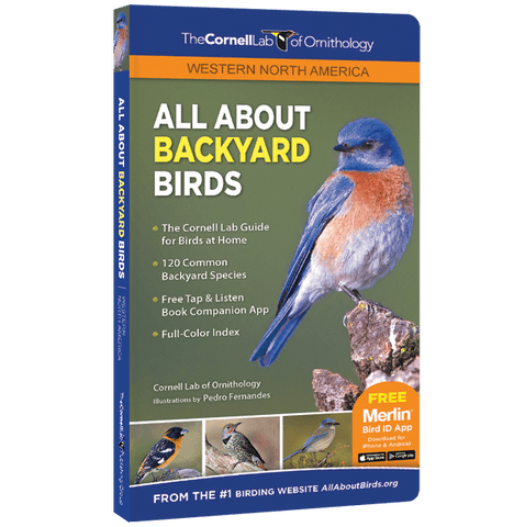 All About Backyard Birds (Western)