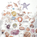 The Beachcomber's Companion: 1000-Piece Puzzle with Shaped Pieces