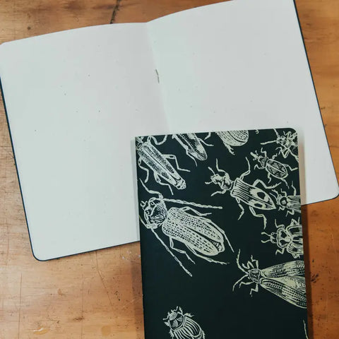 Beetles Sketchbook