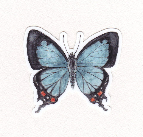 Blue Butterfly Waterproof Sticker