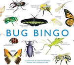Bug Bingo by Christine Berrie