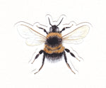 Bumblebee Waterproof Sticker