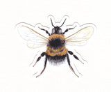 Bumblebee Waterproof Sticker
