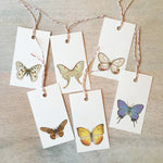 Butterflies & Moths: Gift Tags