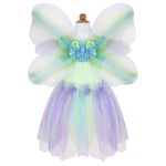 Butterfly Dress with Wings and Wand, size 5-6