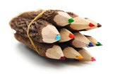 Color Branch Pencils - 5in or 7in
