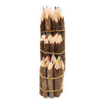 Color Branch Pencils - 5in or 7in