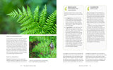 The Complete Book of Ferns: Indoors - Outdoors - Growing - Crafting - History & Lore