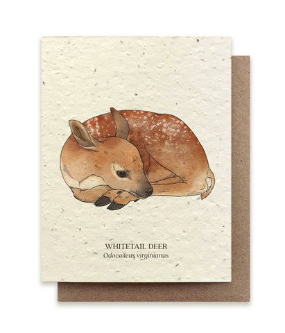Whitetail Deer Plantable Card