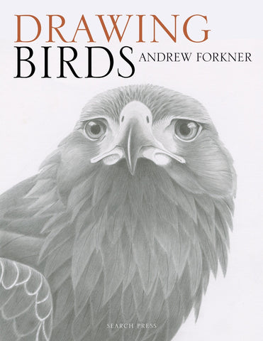 Drawing Birds By Andrew Forkner