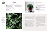 Doctor Houseplant by William Davidson